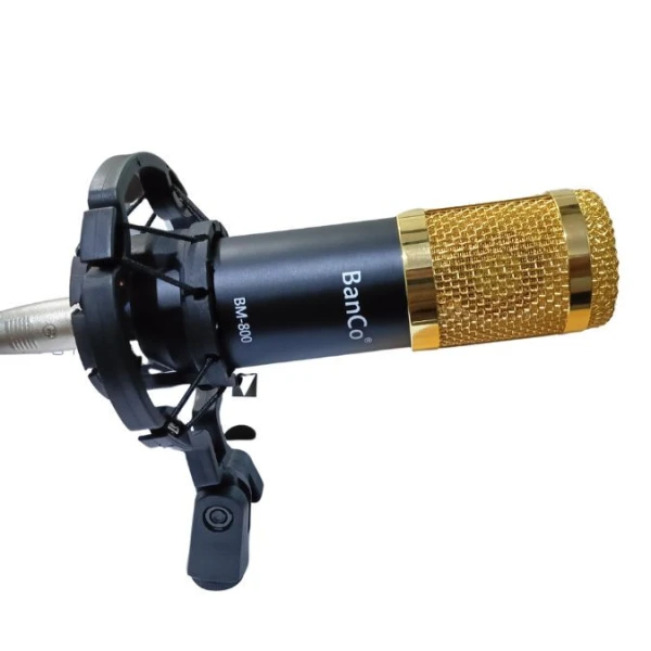 BanCo BM800 Condenser Recording Microphone (Studio Setup)