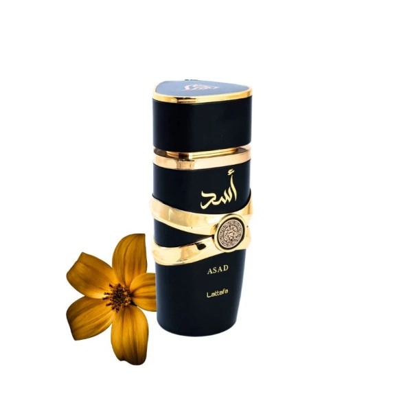 Embrace Adventure with Lattafa Asad Zanzibar Perfume | Experience Lattafa Asad Zanzibar: Your Gateway to Paradise
