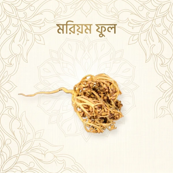 Maryam Flower – Natural Labor & Fertility Herbal Aid | মরিয়ম ফুল – প্রাকৃতিক প্রসব সহায়ক ও গর্ভধারণের জন্য ঔষধি ফুল