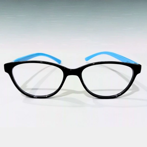 Cat eye oval glasses